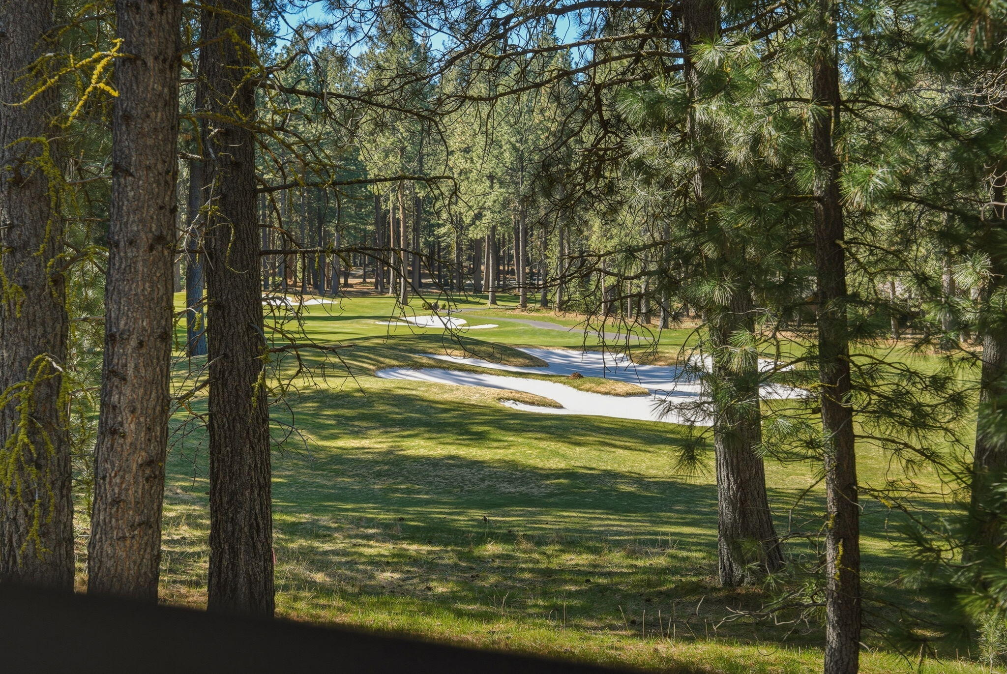 13137 Hawks Beard, Unit GH 129 Black Butte Ranch, OR 97759 - Photo 45 of 57 a view of a yard with an outdoor space