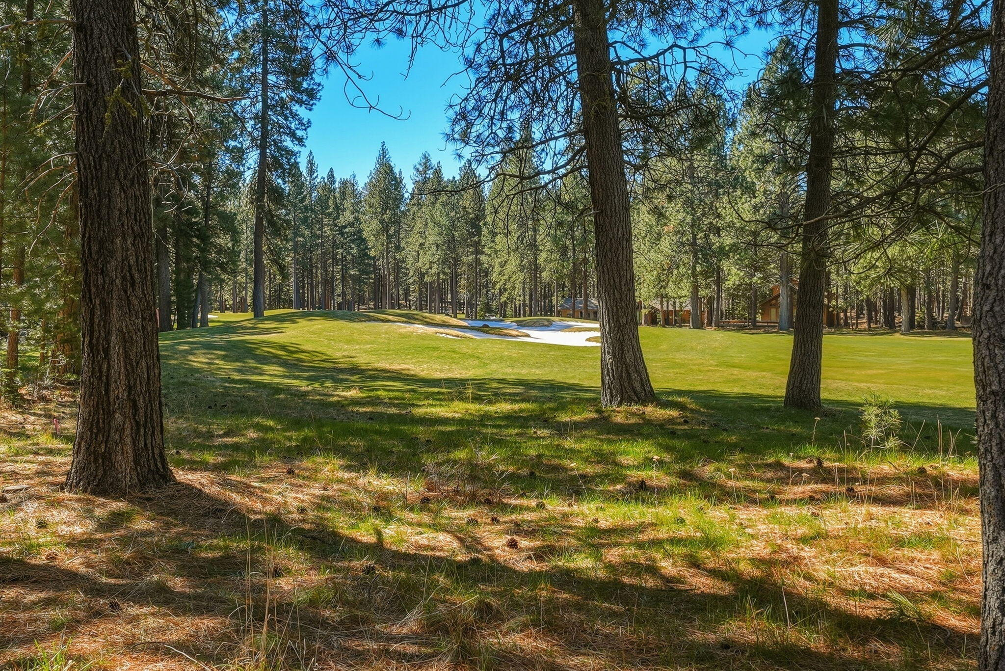 13137 Hawks Beard, Unit GH 129 Black Butte Ranch, OR 97759 - Photo 48 of 57 a view of a yard with swimming pool
