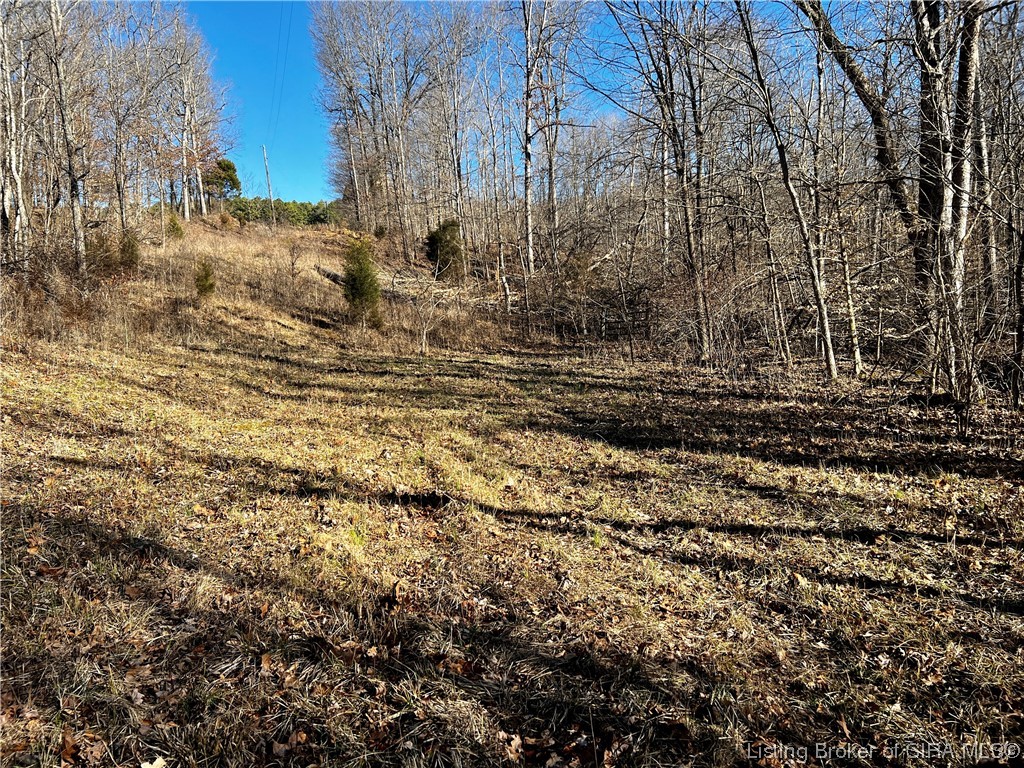 9377 East French Ridge Road Tell City, IN 47586 - Photo 5 of 59