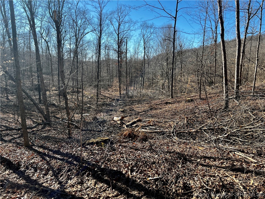 9377 East French Ridge Road Tell City, IN 47586 - Photo 57 of 59