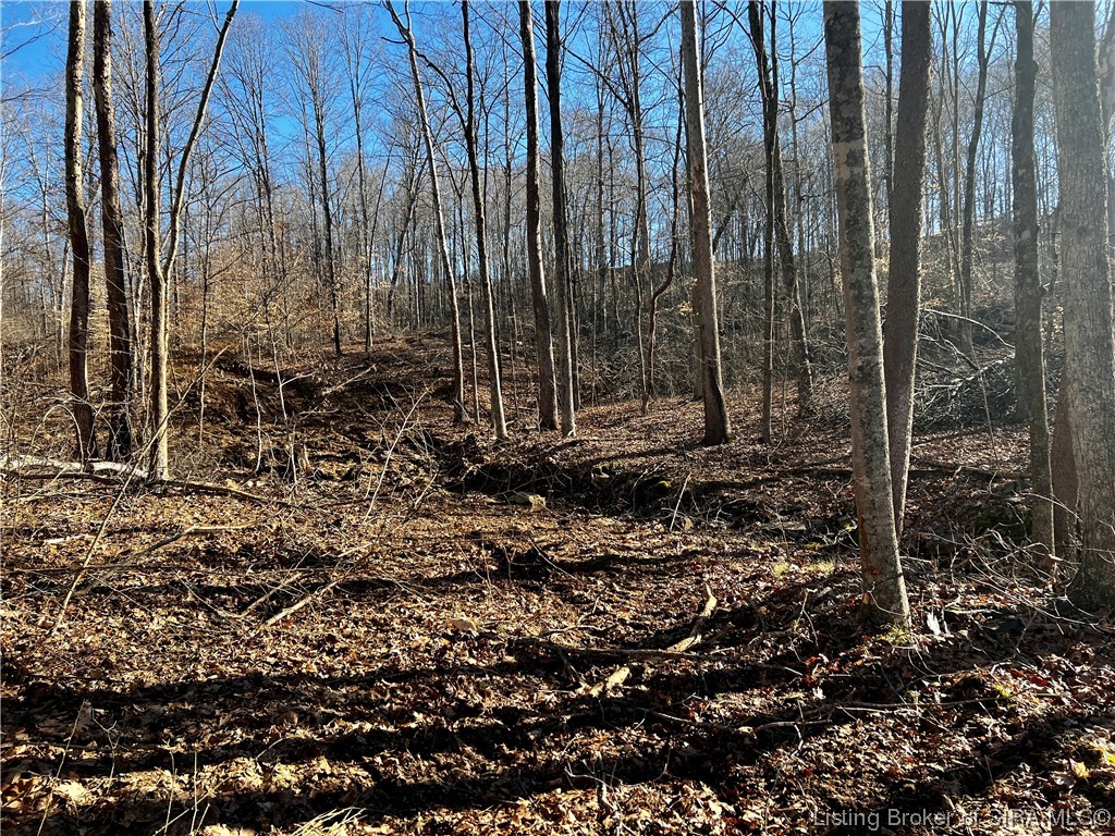 9377 East French Ridge Road Tell City, IN 47586 - Photo 10 of 59