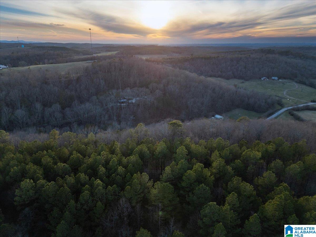 0 Rocky Hollow Road, Unit 10 Guntersville, AL 35976 - Photo 8 of 11
