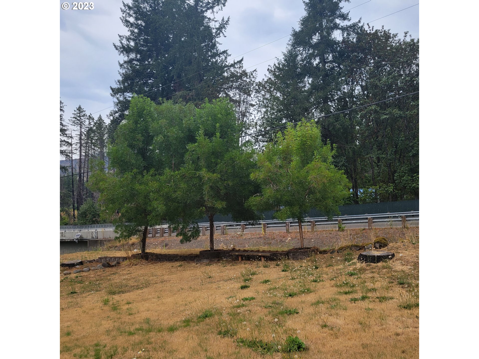 11297 Pioneer Road Lyons, OR 97358 - Photo 1 of 2 Gallery Image 1