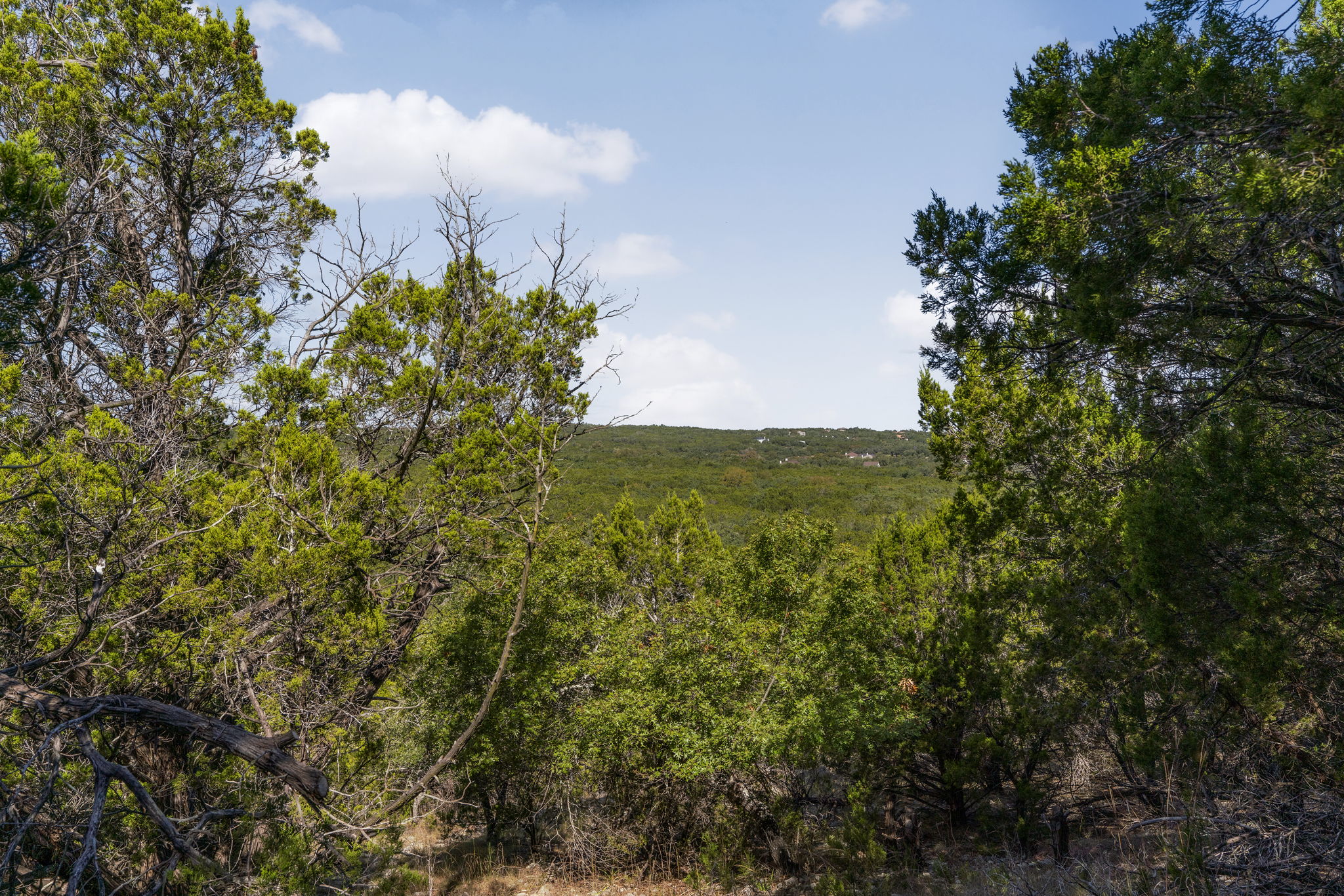 1930 South Rainbow Ranch Road Wimberley, TX 78676 - Photo 23 of 40