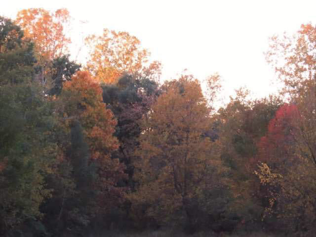 5435 Oak Grove Road Howell, MI 48855 - Photo 26 of 45 21229060-31.JPG