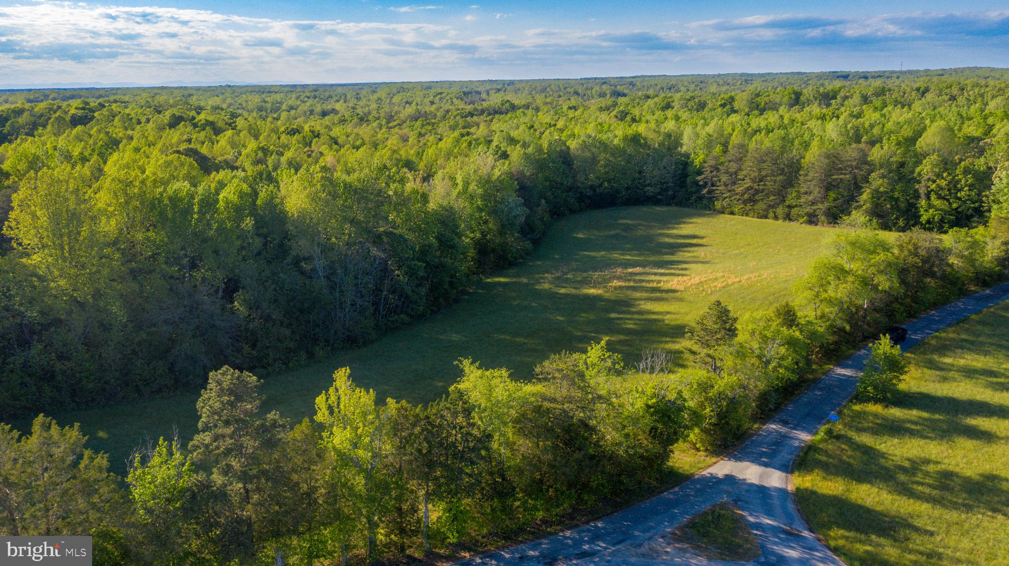 0 Trivette Road Beaverdam, VA 23015 - Photo 17 of 45