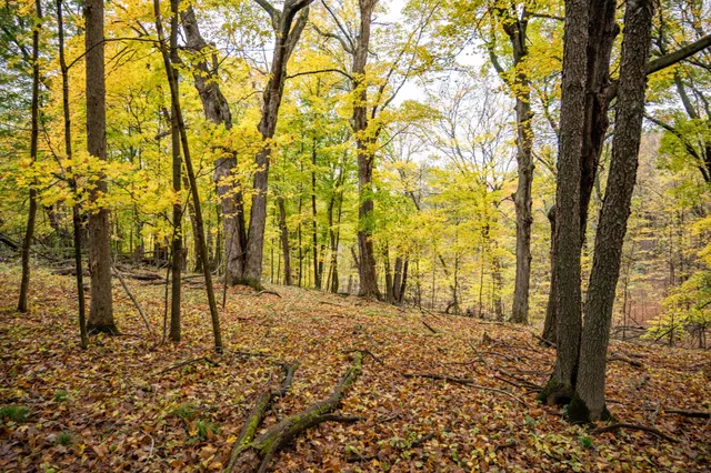 $4,200 | Lot 152 Pine Cone La, La Valle, WI 53941