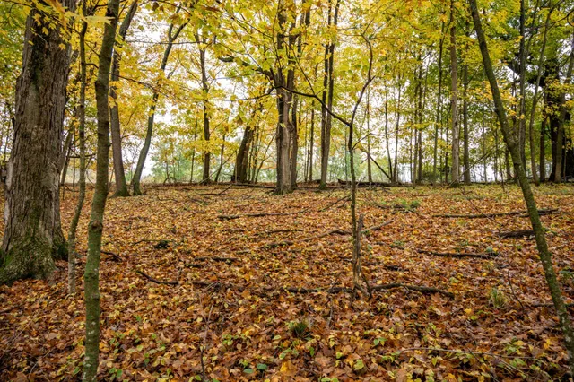 $4,200 | Lot 152 Pine Cone La, La Valle, WI 53941