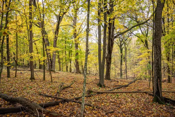 $4,200 | Lot 152 Pine Cone La, La Valle, WI 53941