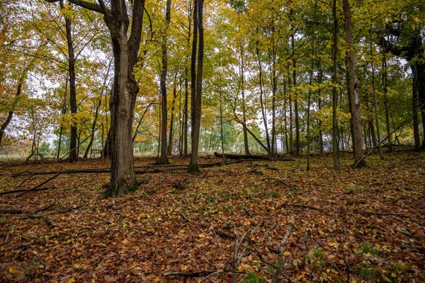 $4,200 | Lot 152 Pine Cone La, La Valle, WI 53941