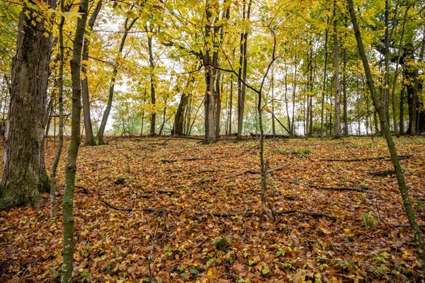 $4,200 | Lot 152 Pine Cone La, La Valle, WI 53941