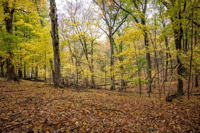 $4,200 | Lot 152 Pine Cone La, La Valle, WI 53941