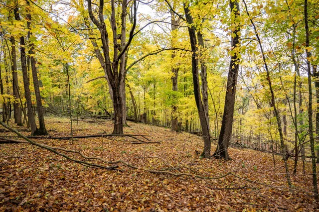 $4,200 | Lot 152 Pine Cone La, La Valle, WI 53941