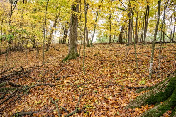 $4,200 | Lot 152 Pine Cone La, La Valle, WI 53941