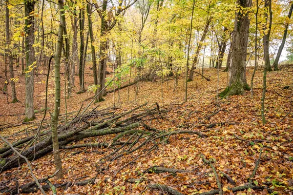 $4,200 | Lot 152 Pine Cone La, La Valle, WI 53941