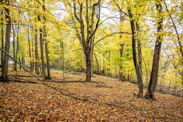 $4,200 | Lot 152 Pine Cone La, La Valle, WI 53941