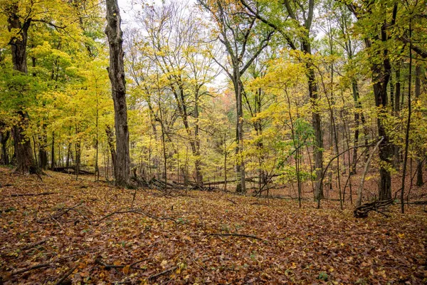 $4,200 | Lot 152 Pine Cone La, La Valle, WI 53941