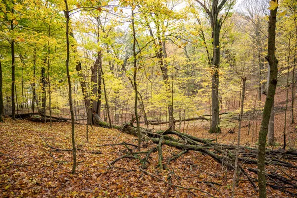 $4,200 | Lot 152 Pine Cone La, La Valle, WI 53941
