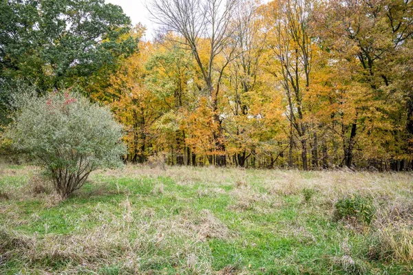 $4,200 | Lot 152 Pine Cone La, La Valle, WI 53941
