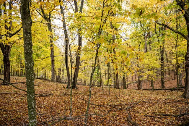 $4,200 | Lot 152 Pine Cone La, La Valle, WI 53941