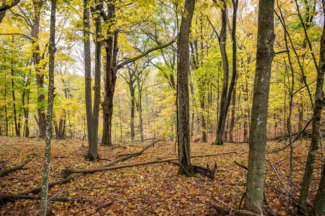 $4,200 | Lot 152 Pine Cone La, La Valle, WI 53941