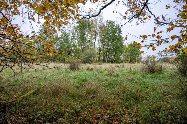 $4,200 | Lot 152 Pine Cone La, La Valle, WI 53941