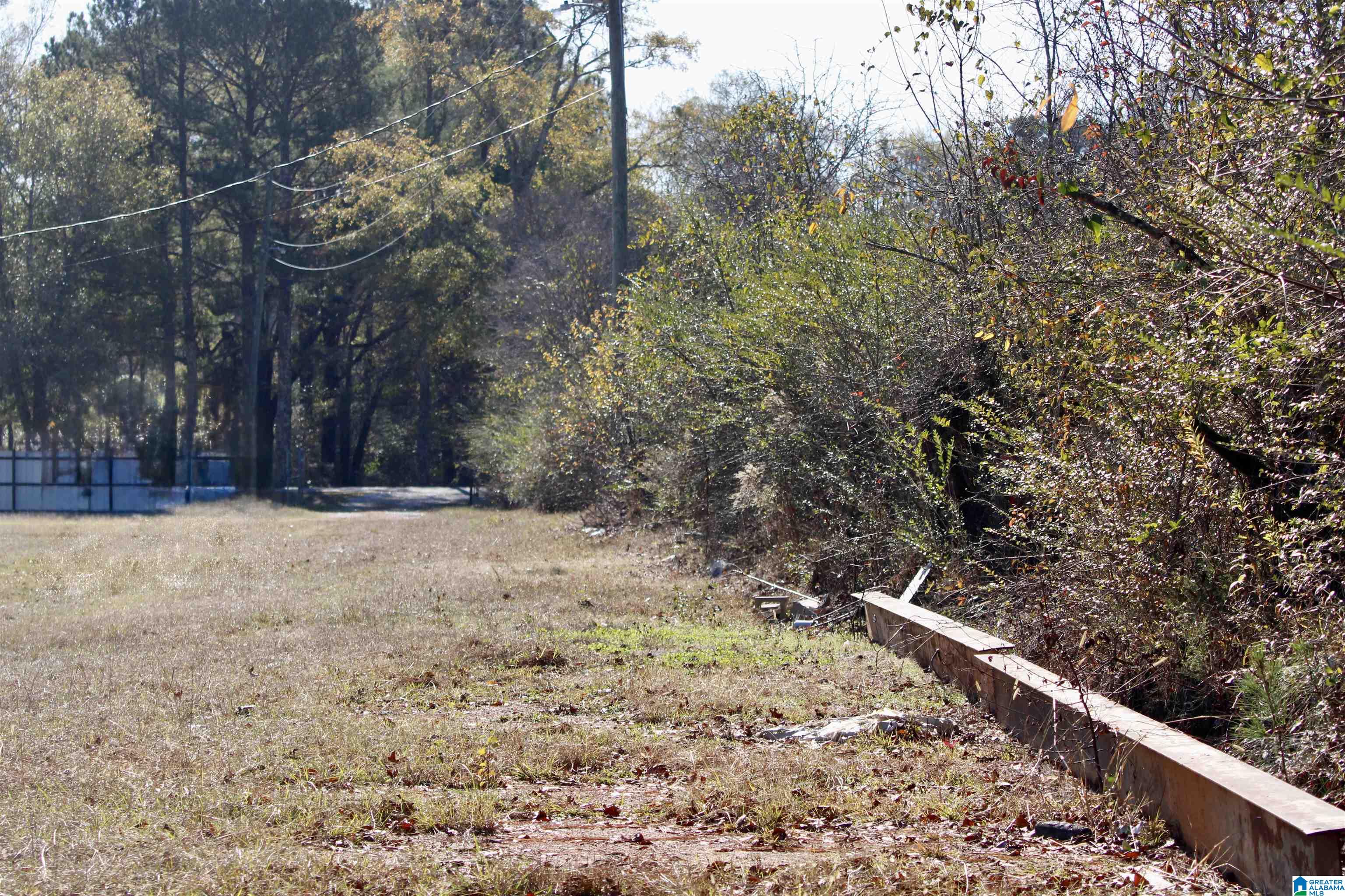 133 Thompson Drive Vincent, AL 35178 - Photo 11 of 23