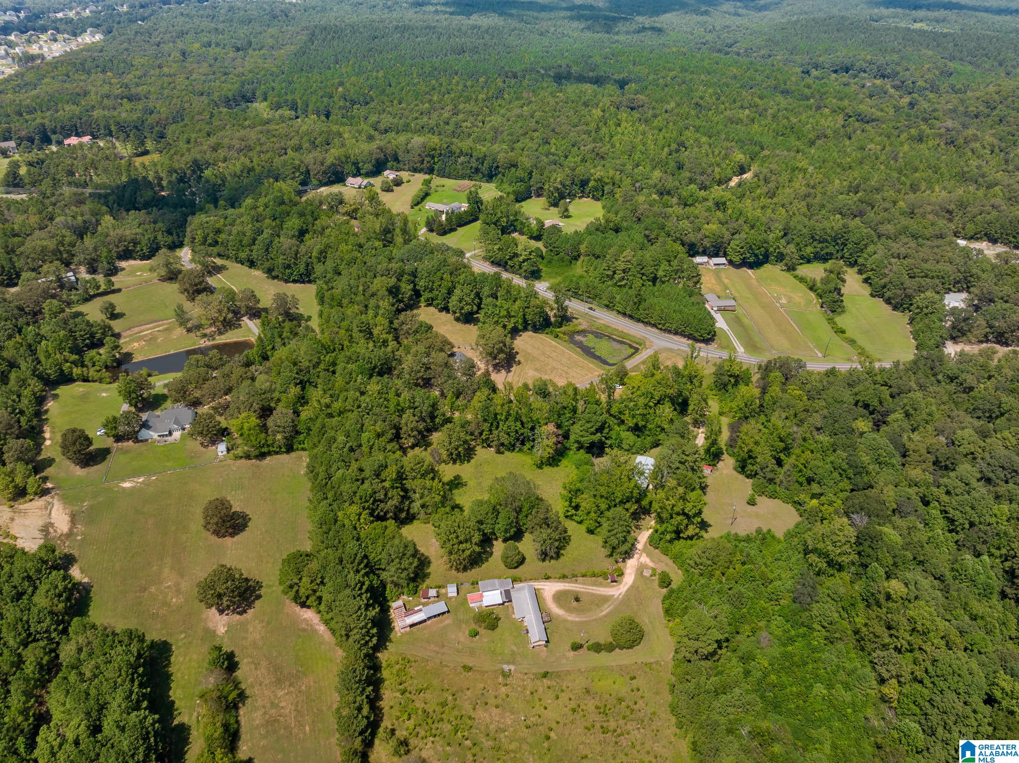 1695 Sanie Road Odenville, AL 35120 - Photo 47 of 63