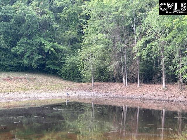 1426 West Creek Road Leesville, SC 29070 - Photo 9 of 70