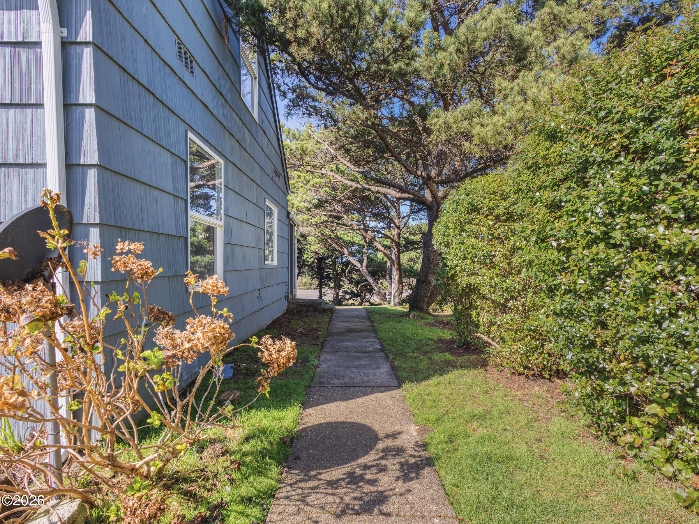 1208 Southwest Division Street Waldport, OR 97394 - Photo 6 of 45 IMG_9078 copy 2