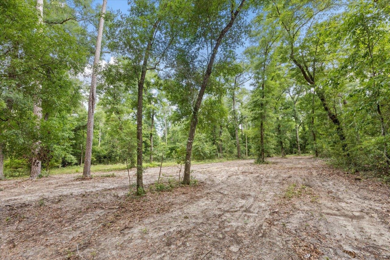0 Gould Road Quincy, FL 32351 - Photo 12 of 25 Gallery Image 12