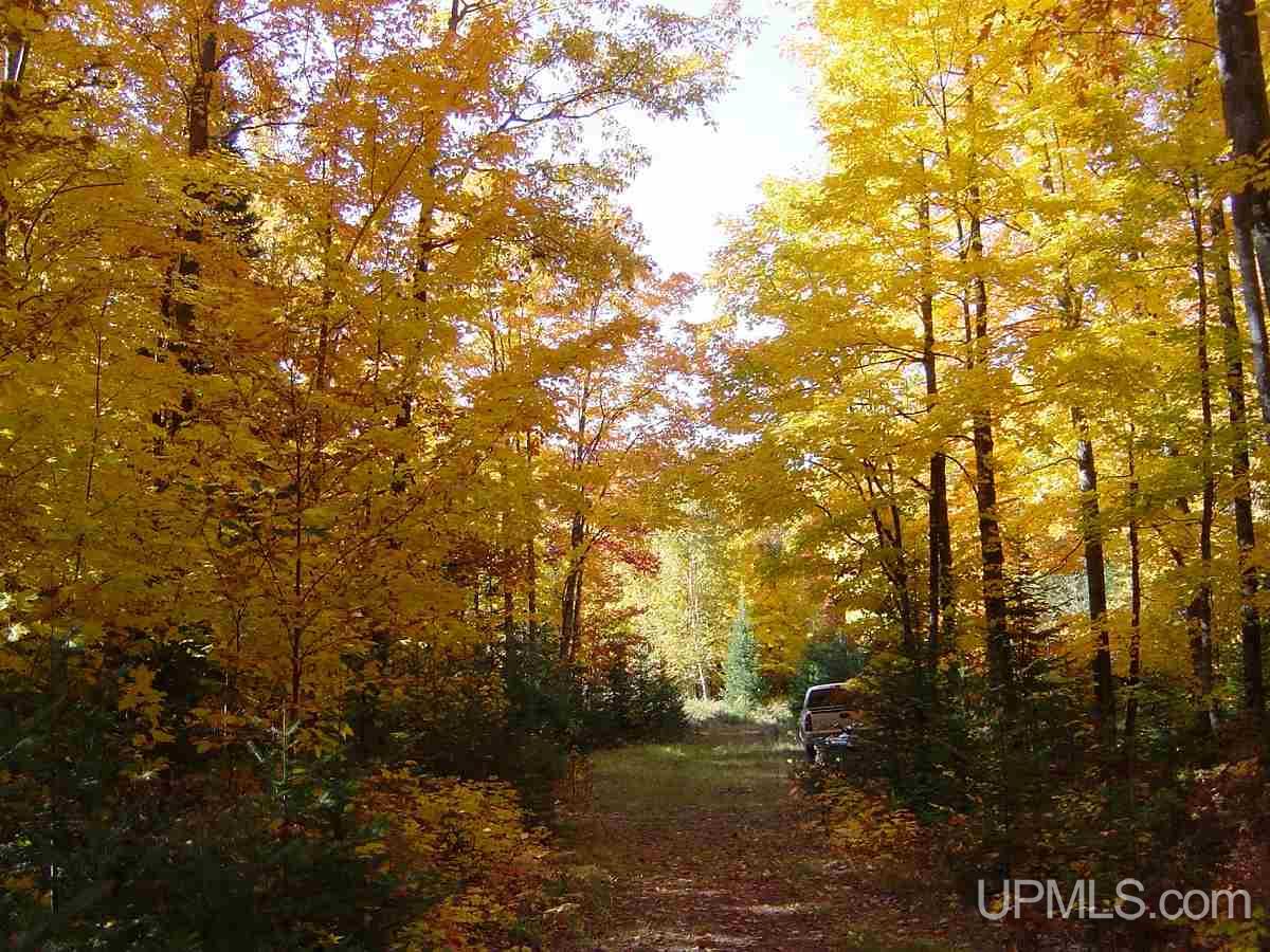 Tbd Tbd Off County Line Road Trout Creek, MI 49967 - Photo 4 of 4