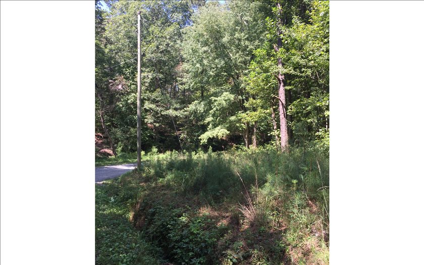 7-ac Painter Road Talking Rock, GA 30175 - Photo 1 of 1 Main View