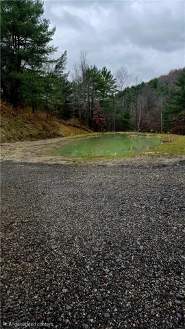 $305,000 | 4432 County Route 1, Campbell, NY 14821