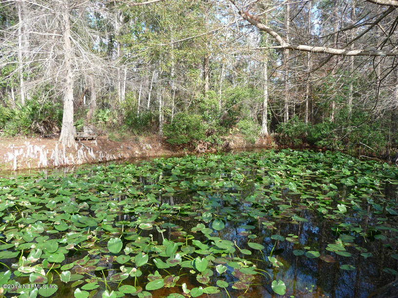 116 Stack Avenue Interlachen, FL 32148 - Photo 7 of 35 pond