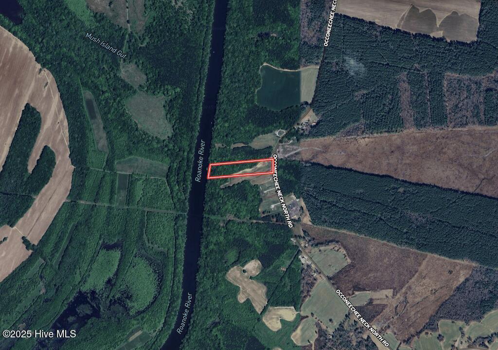 0 Occoneechee Neck North Road Garysburg, NC 27831 - Photo 13 of 13 Aerial Expanded