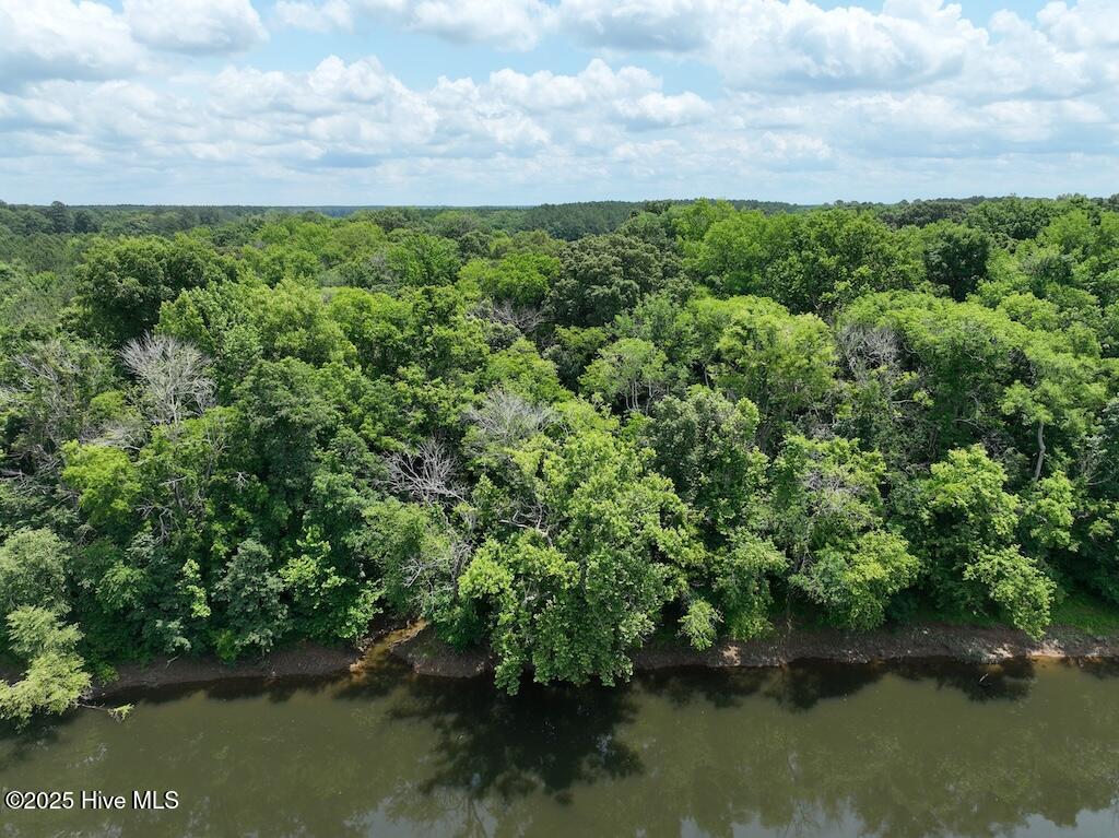 0 Occoneechee Neck North Road Garysburg, NC 27831 - Photo 5 of 13 5