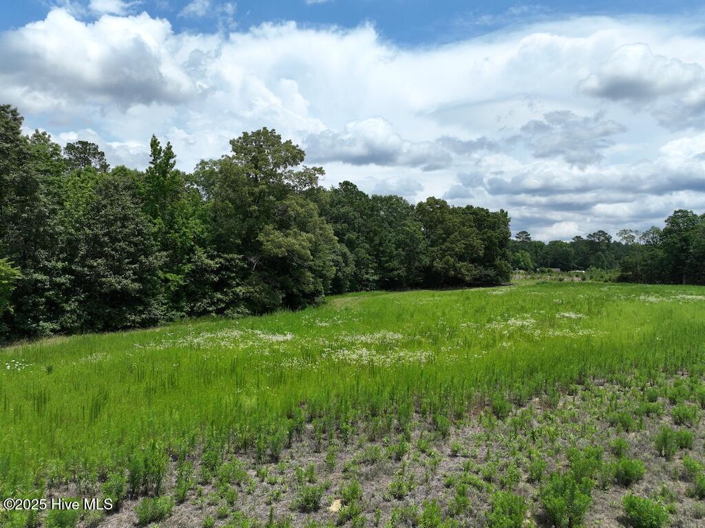 0 Occoneechee Neck North Road Garysburg, NC 27831 - Photo 7 of 13 7