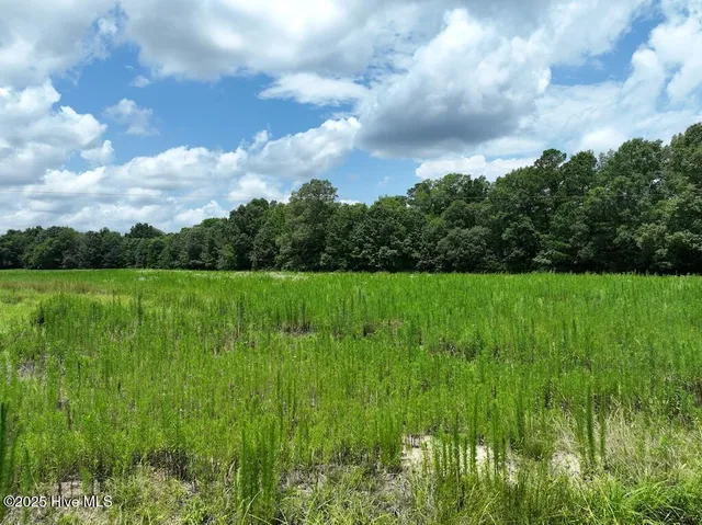 $89,900 | 0 Occoneechee Neck North Road, Garysburg, NC 27831