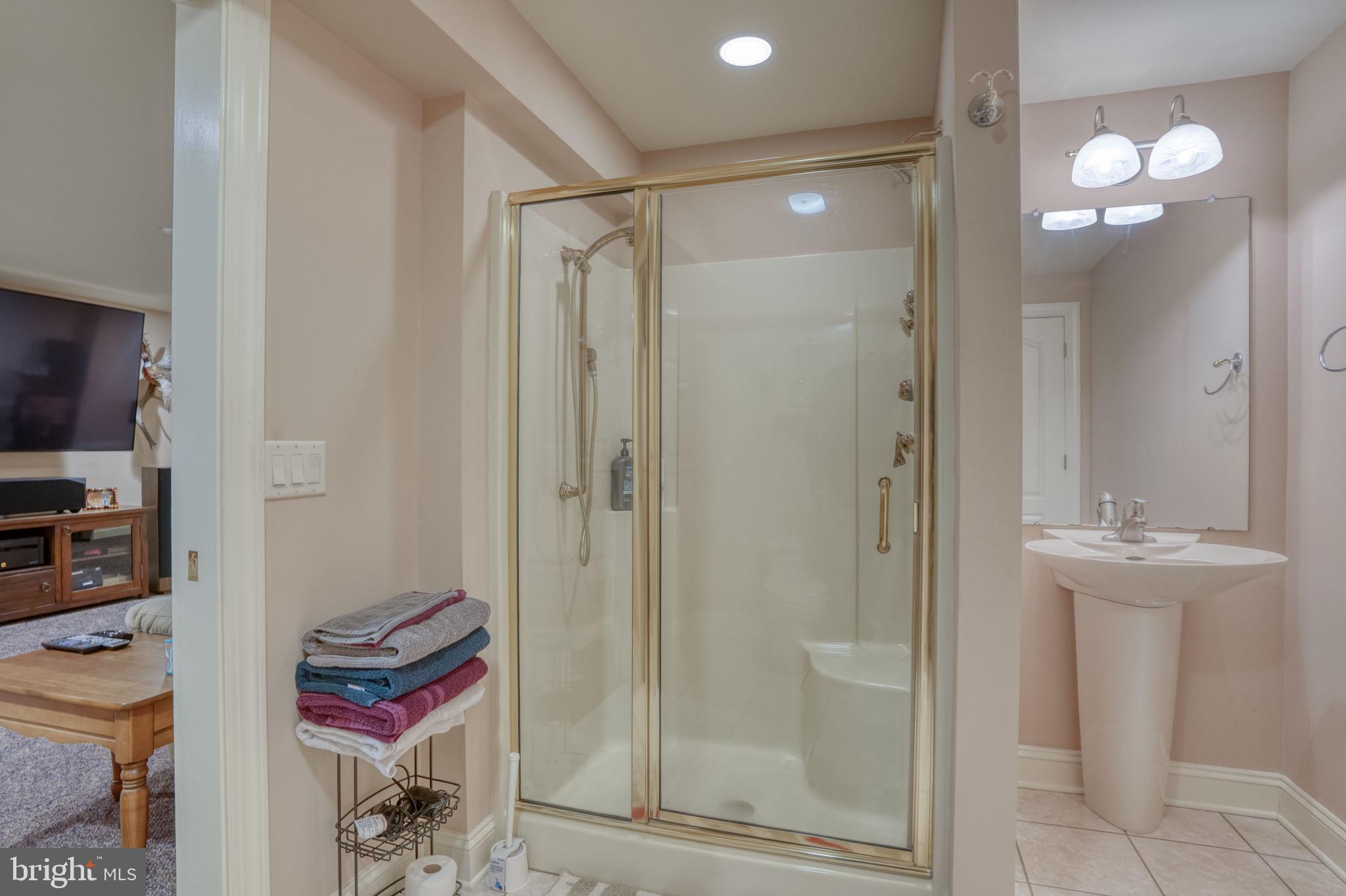 56 Coventry Court Dover, DE 19901 - Photo 36 of 53 a bathroom with a shower a sink and a mirror