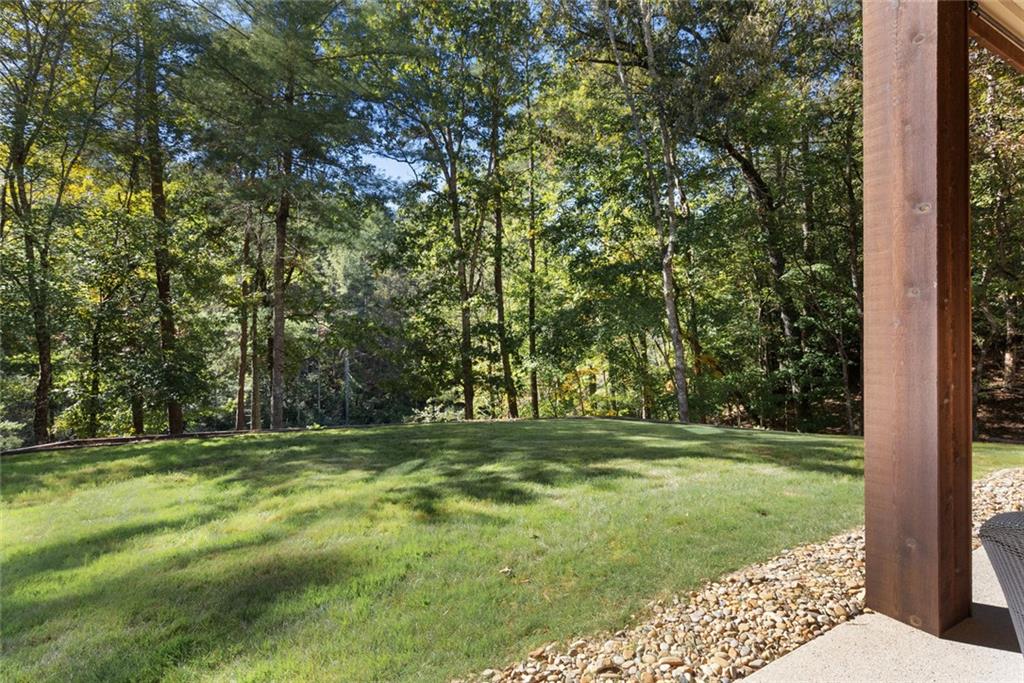 505 River Ridge Road Clarkesville, GA 30523 - Photo 47 of 58