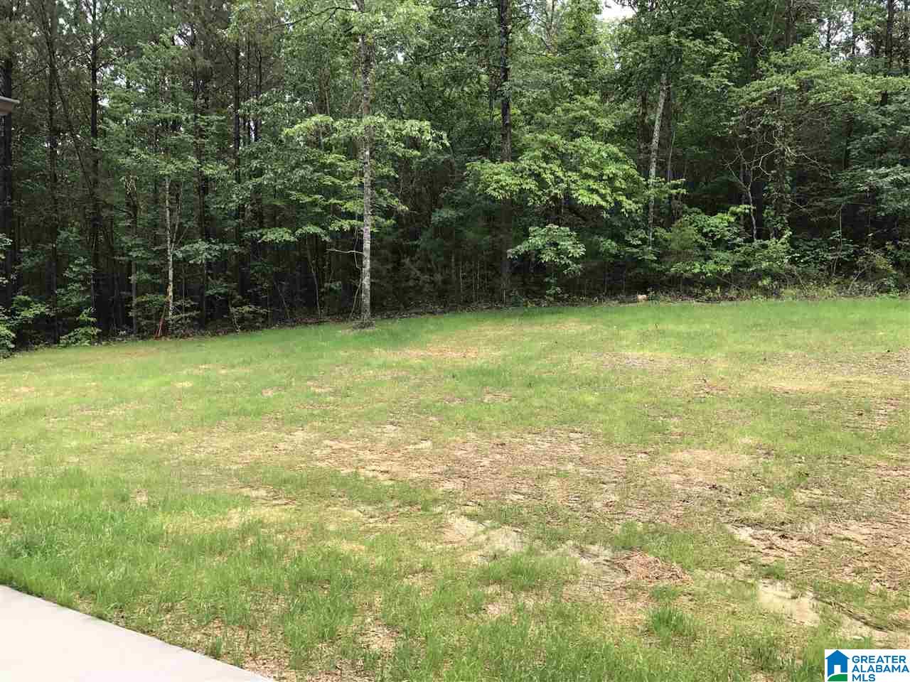 390 Covington Rdg Drive Jacksonville, AL 36265 - Photo 19 of 19