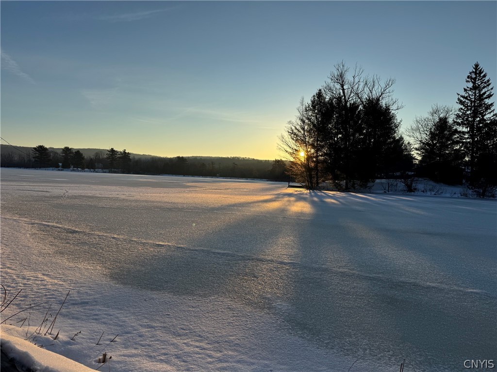 6343 Wendover Road Eaton, NY 13310 - Photo 34 of 34