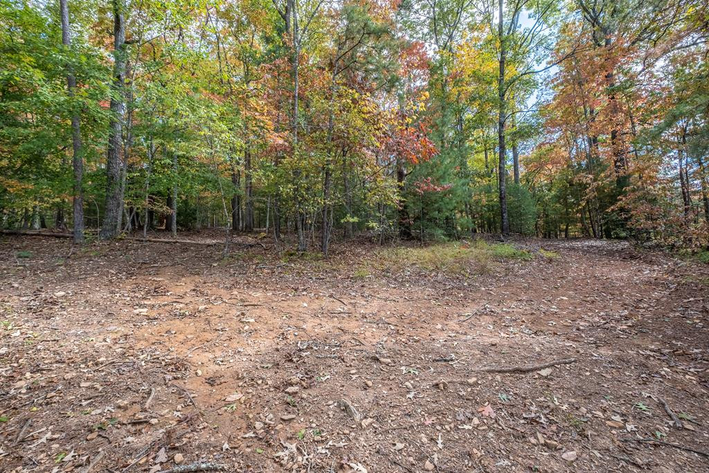 171 Caney Creek Road Murphy, NC 28906 - Photo 42 of 60