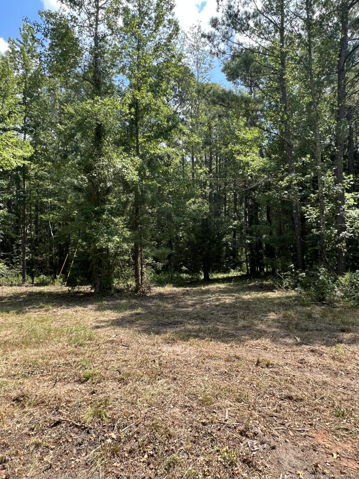 2138 Poor Boy Road Leesville, SC 29070 - Photo 11 of 11