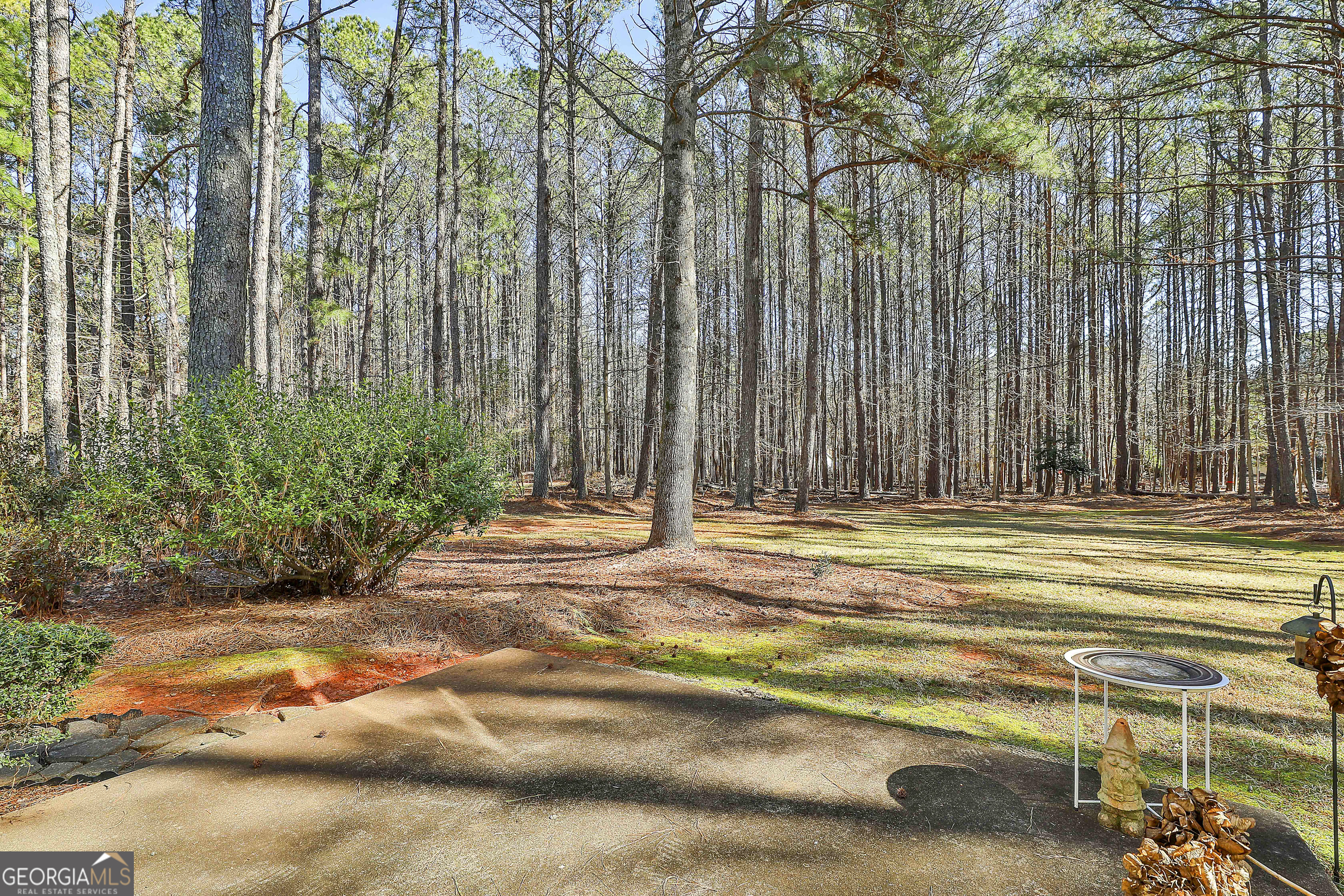 809 Lora Smith Road Newnan, GA 30265 - Photo 35 of 40 a view of a backyard with basketball court