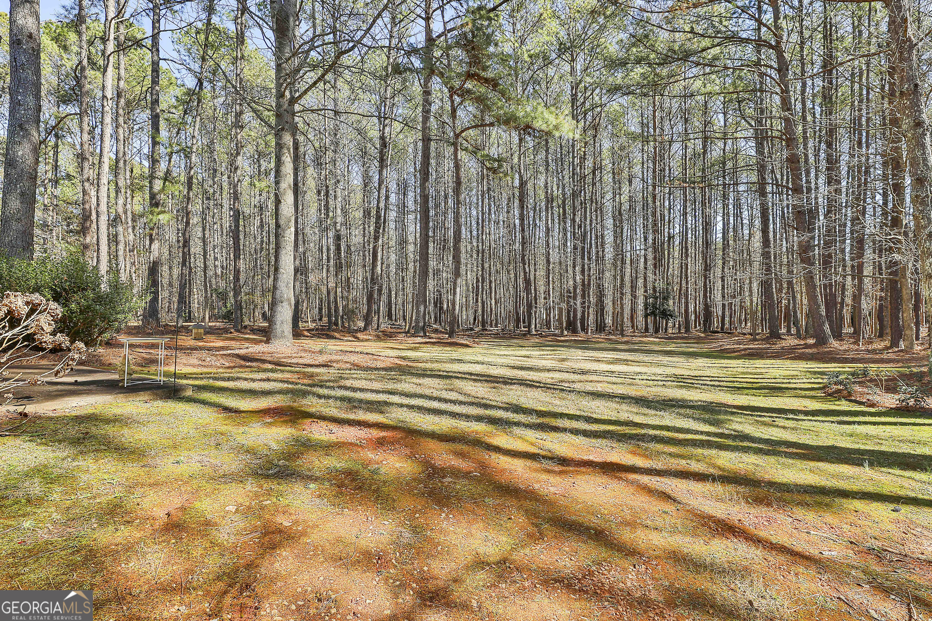 809 Lora Smith Road Newnan, GA 30265 - Photo 37 of 40 a view of a house with a small space