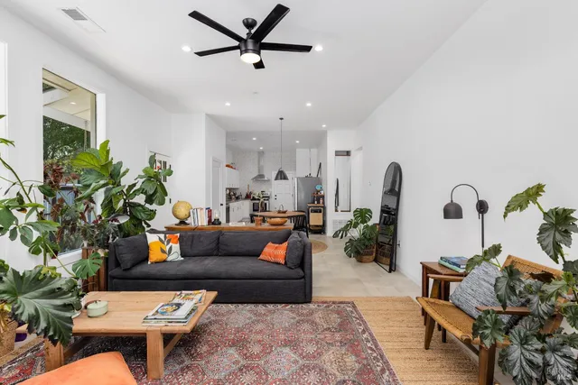 a living room with furniture and a potted plant