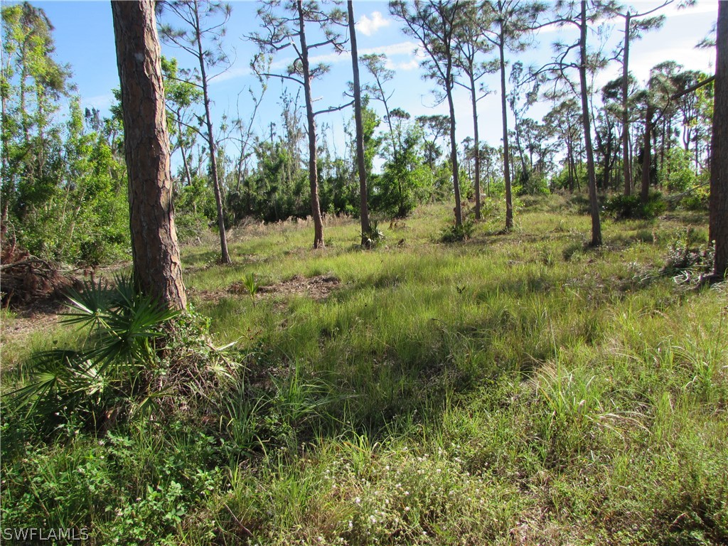 16215 Stringfellow Road Bokeelia, FL 33922 - Photo 5 of 29 Gallery Image 5
