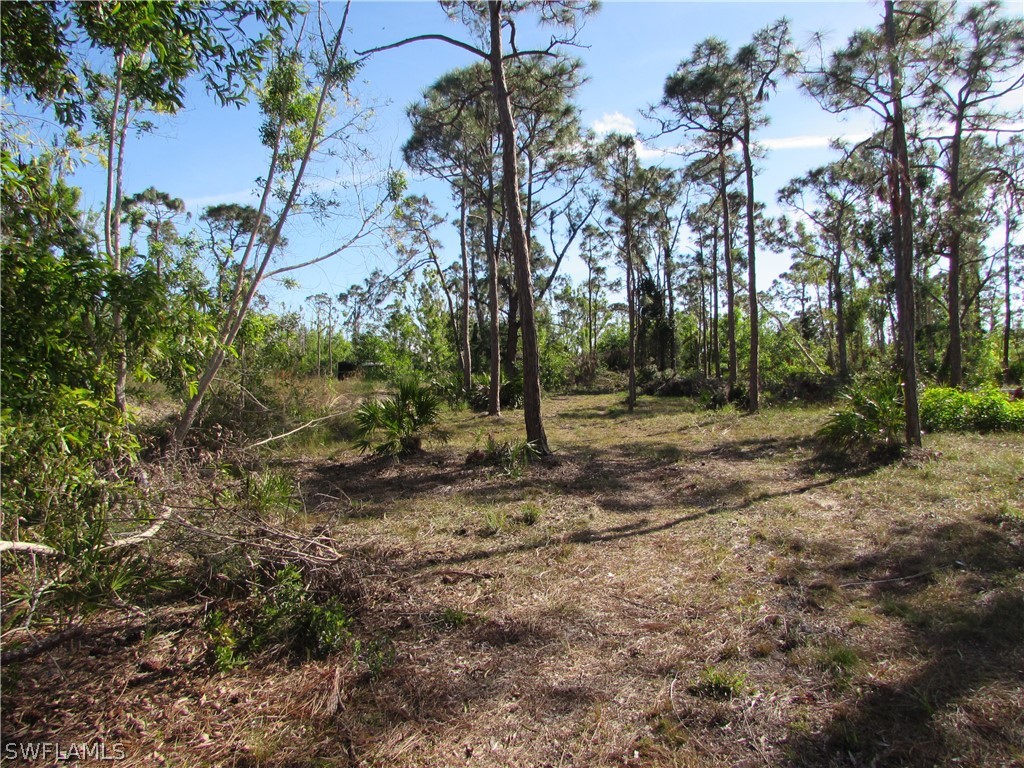 16215 Stringfellow Road Bokeelia, FL 33922 - Photo 8 of 29 Gallery Image 8